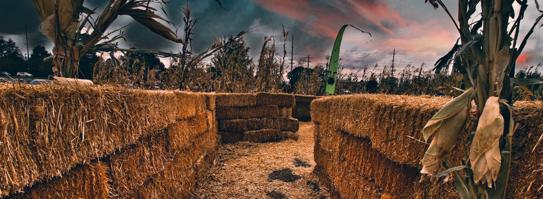 Haunted Corn Maze in Nevada