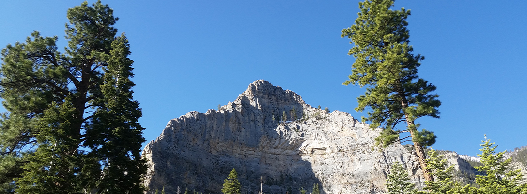 Red Rock Canyon Destination for a Day Trip from Las Vegas